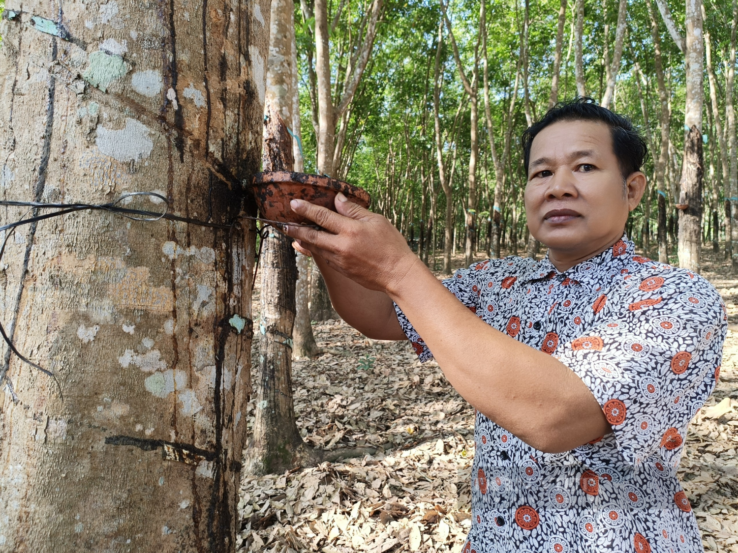 Nông dân Bình Phước sống khỏe, thu nhập cao, nhờ mạnh dạn thay đổi tư duy - Ảnh 3.