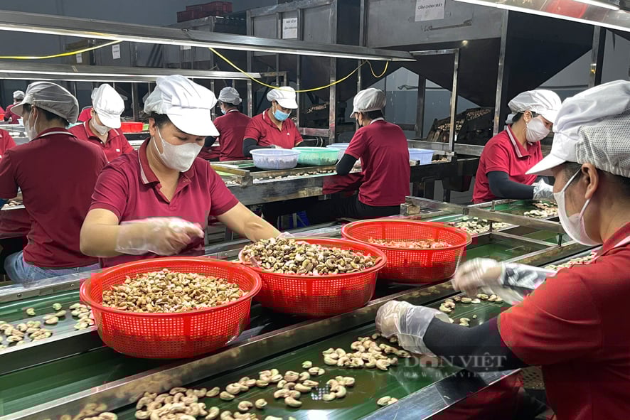 Nông dân Bình Phước sống khỏe, thu nhập cao, nhờ mạnh dạn thay đổi tư duy - Ảnh 5.