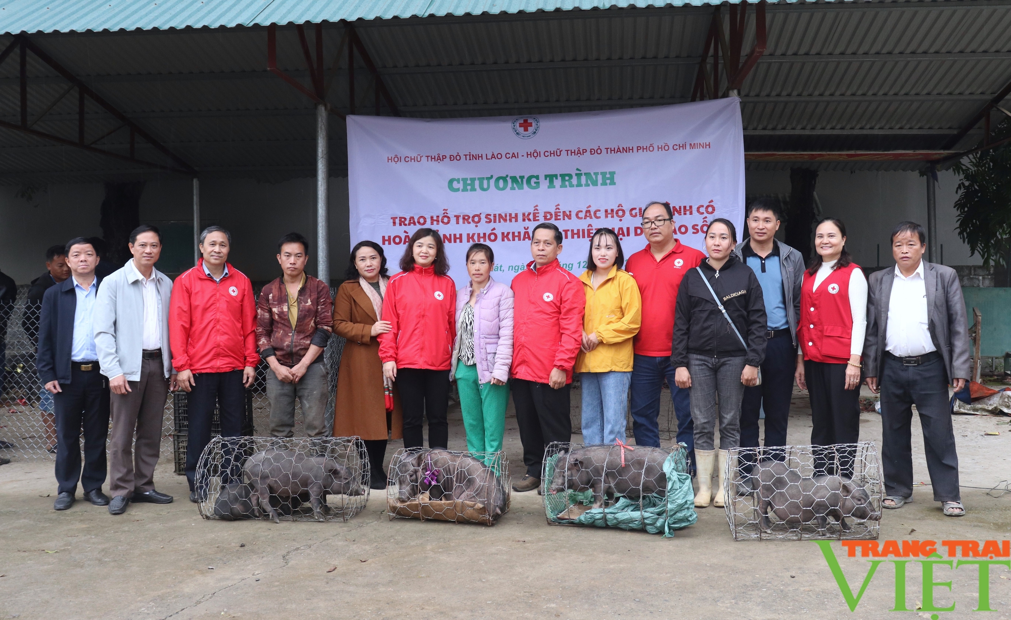 Hỗ trợ lợn giống cho người dân Bát Xát (Lào Cai) bị ảnh hưởng thiên tai - Ảnh 2.