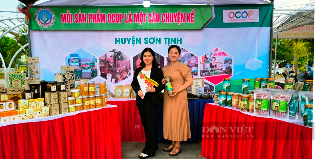 Quảng Ngãi: Điểm nhấn trong xây dựng nông thôn mới kiểu mẫu ở huyện Sơn Tịnh - Ảnh 7.