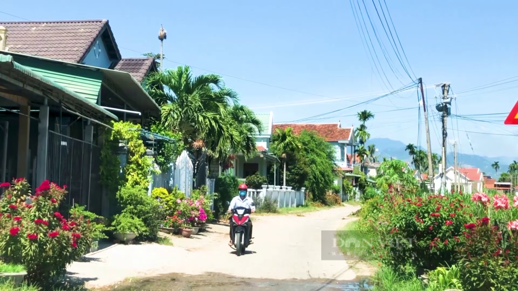 Quảng Ngãi: Điểm nhấn trong xây dựng nông thôn mới kiểu mẫu ở huyện Sơn Tịnh - Ảnh 3.