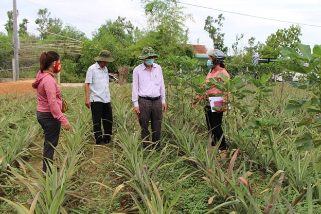 Huyện Tư Nghĩa - Quảng Ngãi giữ vững vị trí dẫn đầu về chỉ số cải cách hành chính- Ảnh 4.