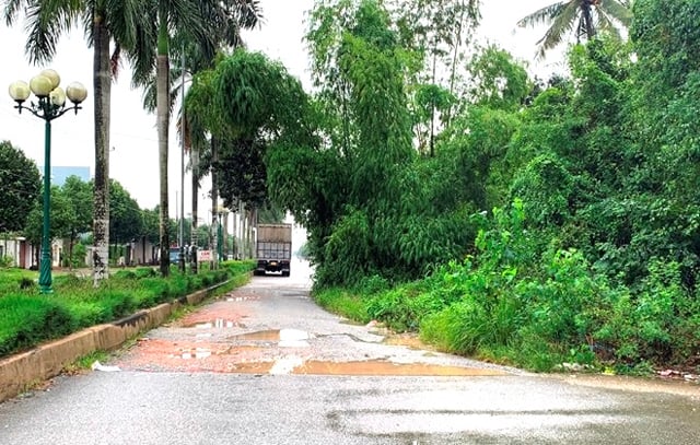 Hàng loạt kiến nghị "nóng" của người dân gửi đến Nghị trường kỳ họp cuối năm ở Quảng Ngãi- Ảnh 7.