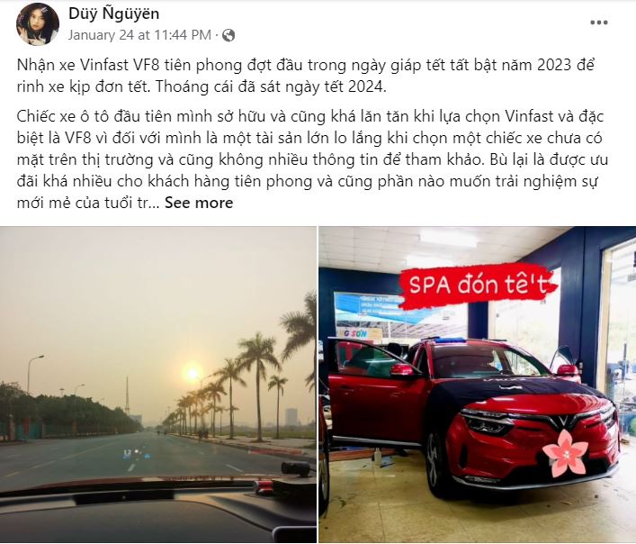 Hành trình “từ hoài nghi đến trung thành” của chủ xe điện VinFast- Ảnh 3.