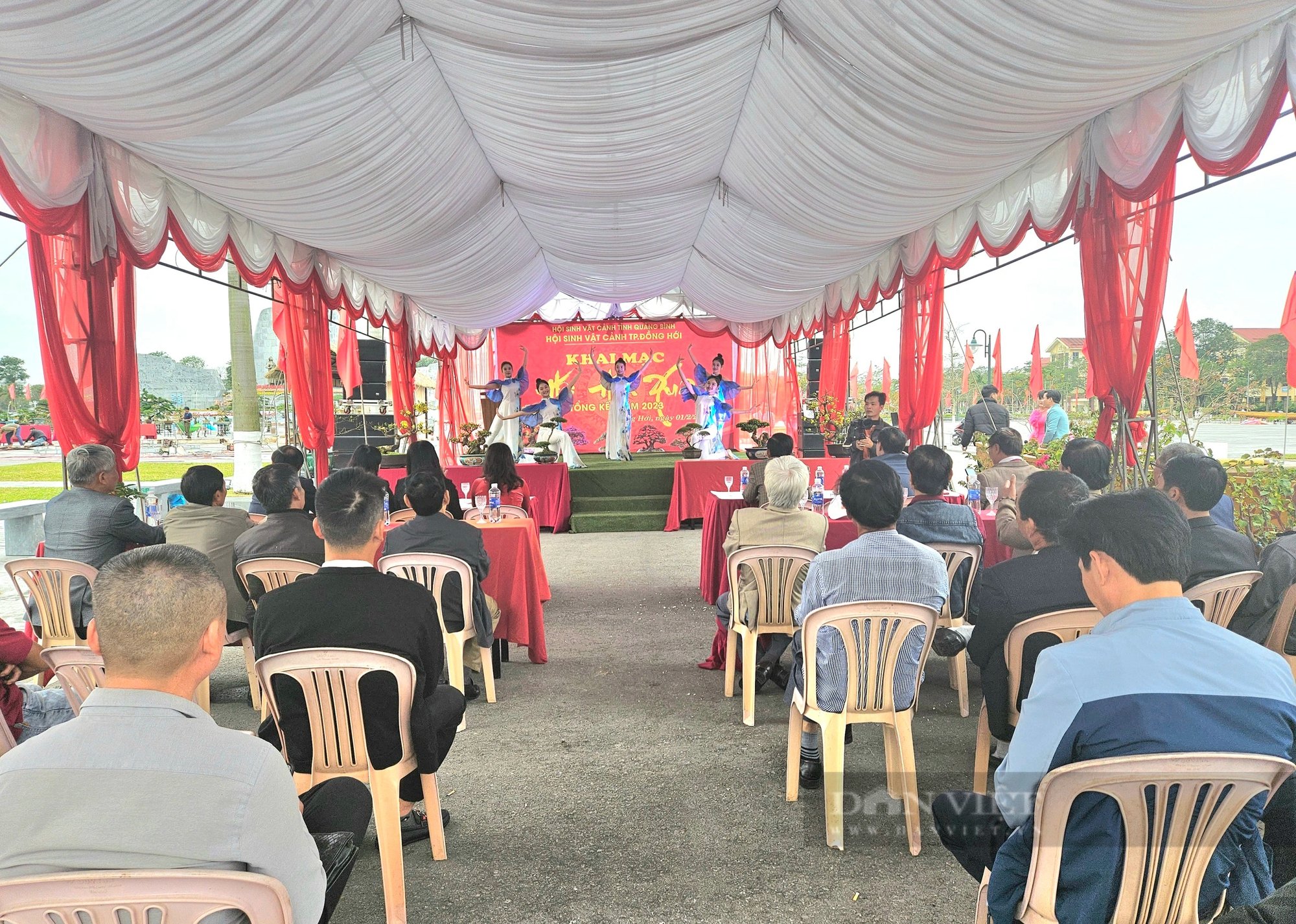 Cây cảnh thế "Dáng Long" gây ấn tượng mạnh tại Hội Hoa Xuân Quảng Bình- Ảnh 1.
