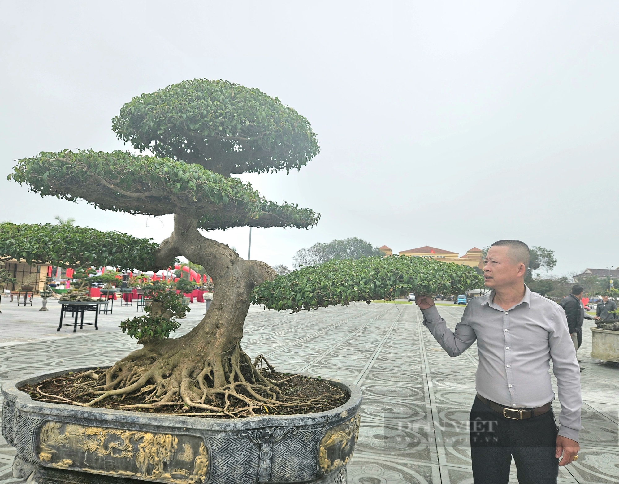 Cây cảnh thế "Dáng Long" gây ấn tượng mạnh tại Hội Hoa Xuân Quảng Bình- Ảnh 2.