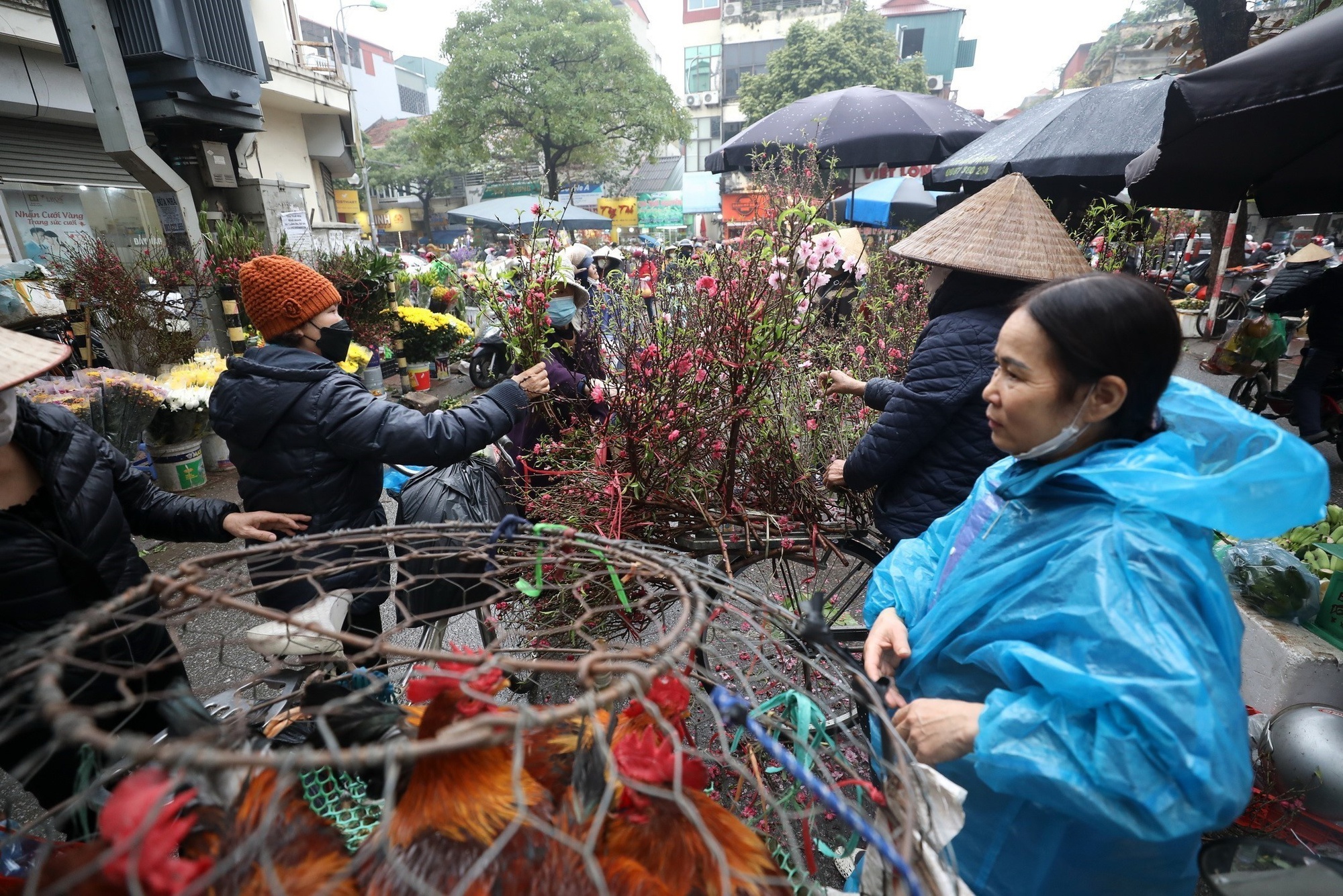 'Ông Công, ông Táo về Trời' - Tết đã gõ cửa từng nhà- Ảnh 19.