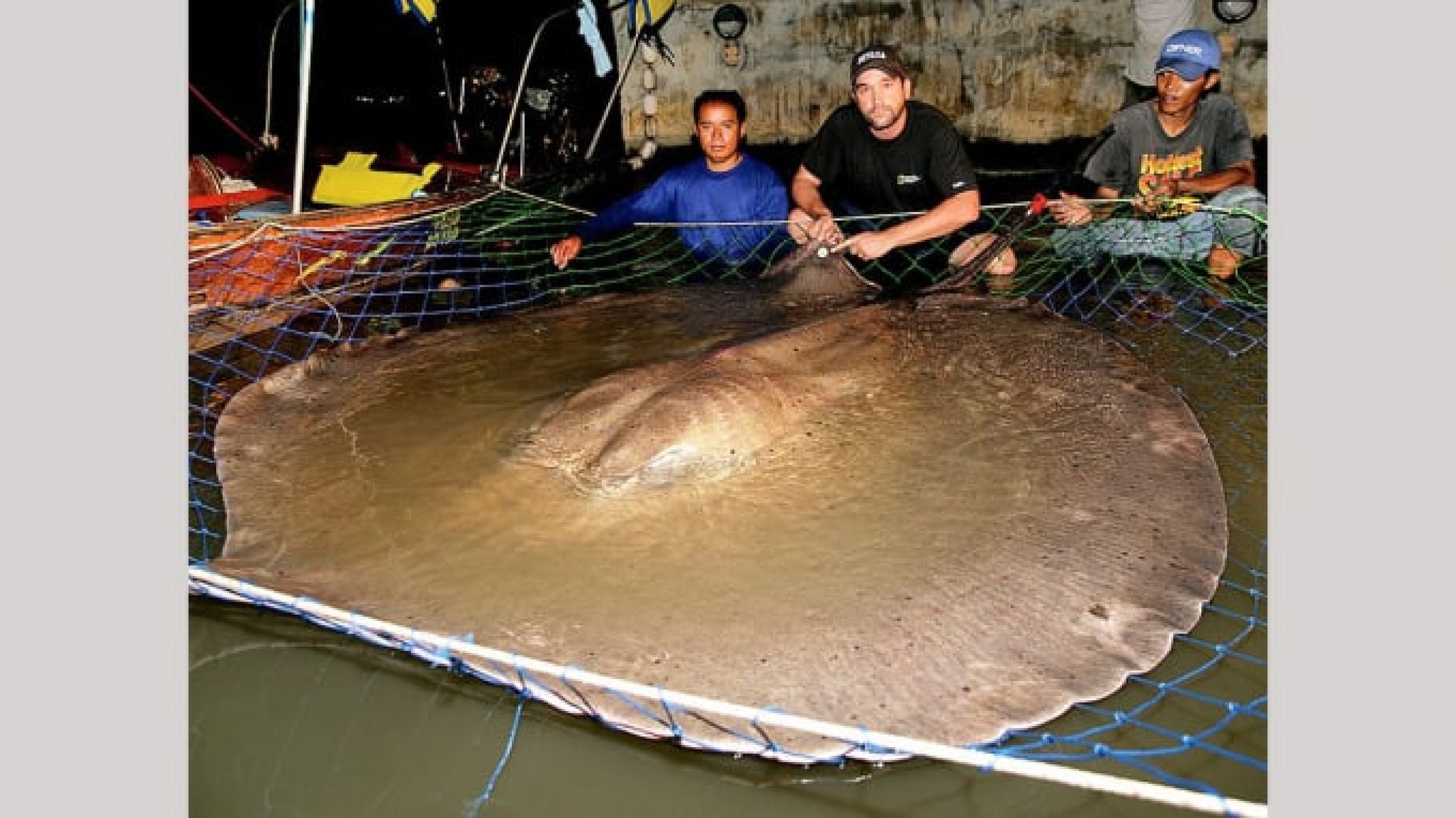 Để Mekong, dòng sông Mẹ, trường tồn- Ảnh 3.