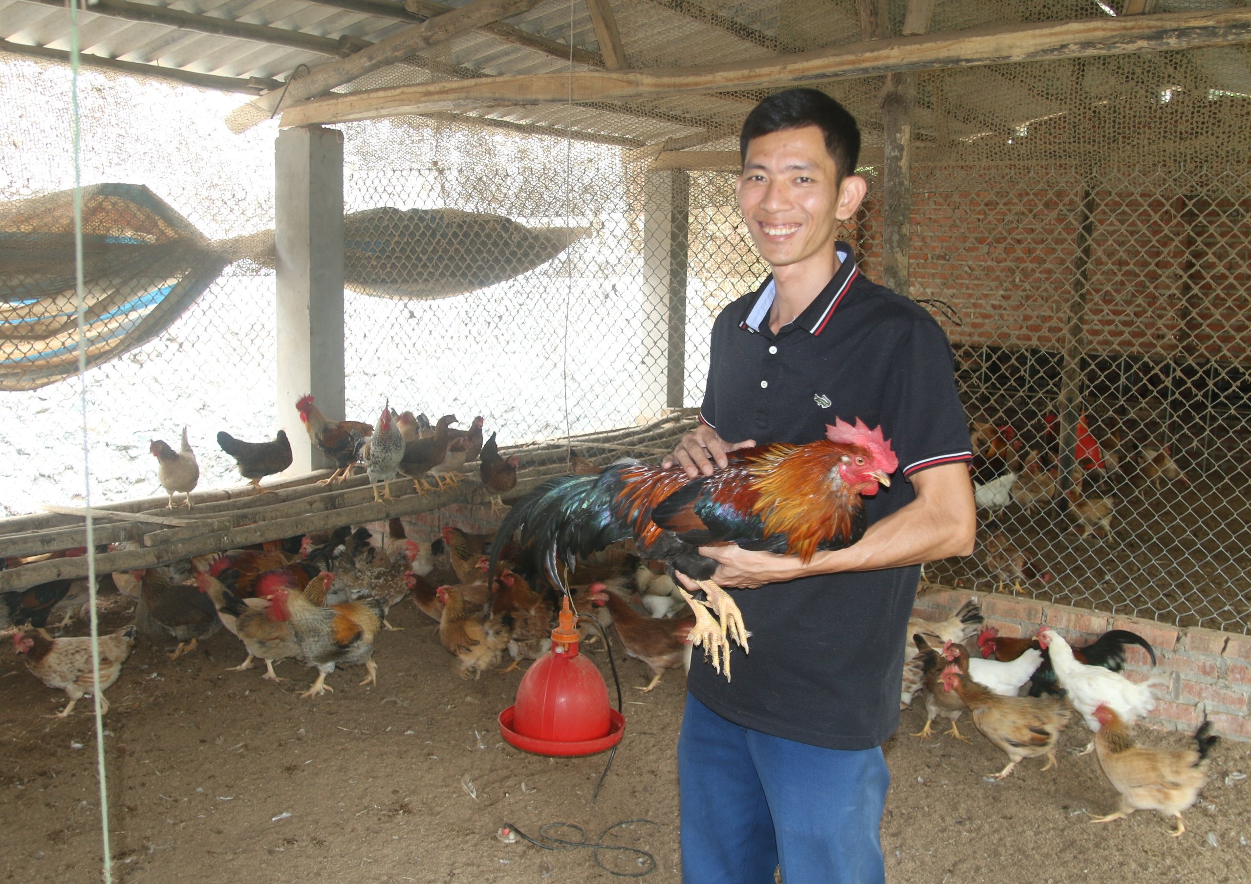 Nuôi con vật truyền thuyết, chân mọc nhiều cựa, một thầy giáo vùng cao Phú Thọ thu tiền tỷ- Ảnh 2.