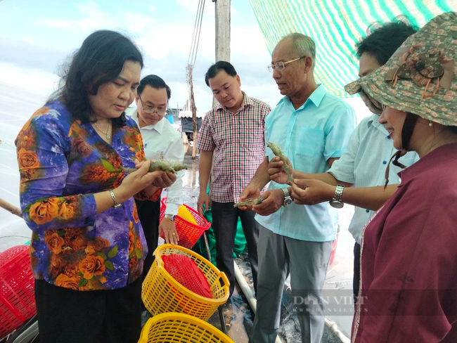 6 bài học kinh nghiệm của Hội Nông dân Bến Tre trong xây dựng “Câu lạc bộ nông dân tỷ phú”- Ảnh 1.