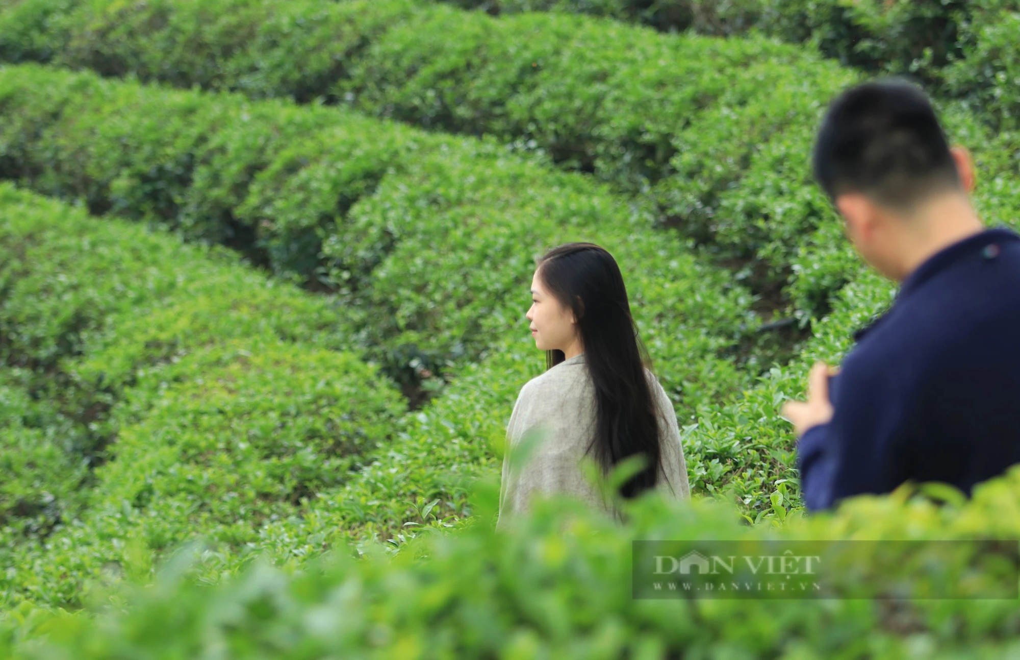 Một nơi ở Nghệ An có đảo, có đồi, có hồ nước đẹp long lanh, dân tình đang kéo lên chụp ảnh, quay phim- Ảnh 4.