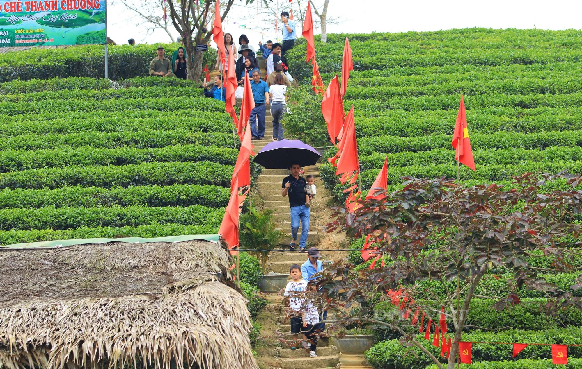 Một nơi ở Nghệ An có đảo, có đồi, có hồ nước đẹp long lanh, dân tình đang kéo lên chụp ảnh, quay phim- Ảnh 5.