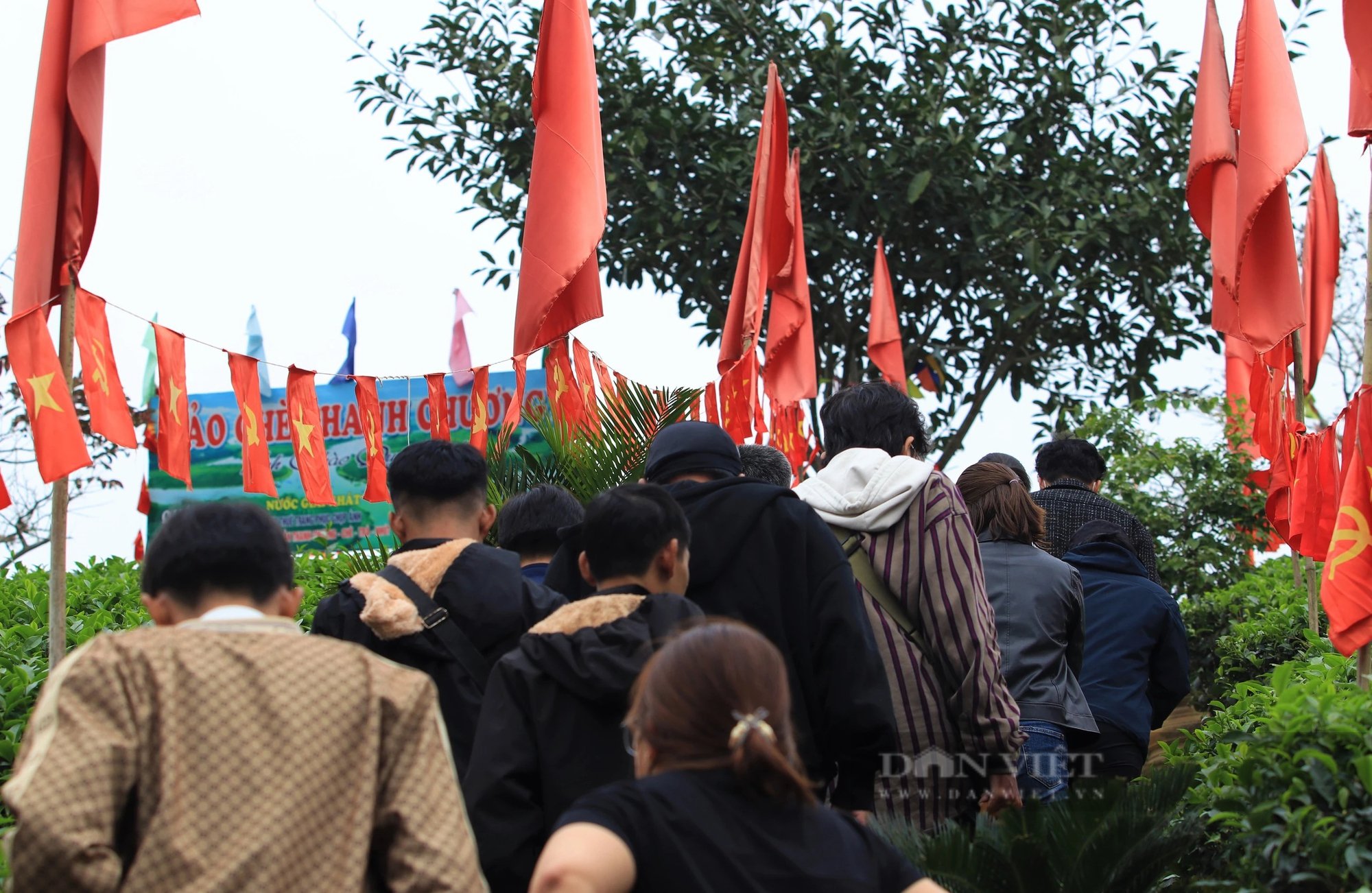Một nơi ở Nghệ An có đảo, có đồi, có hồ nước đẹp long lanh, dân tình đang kéo lên chụp ảnh, quay phim- Ảnh 6.