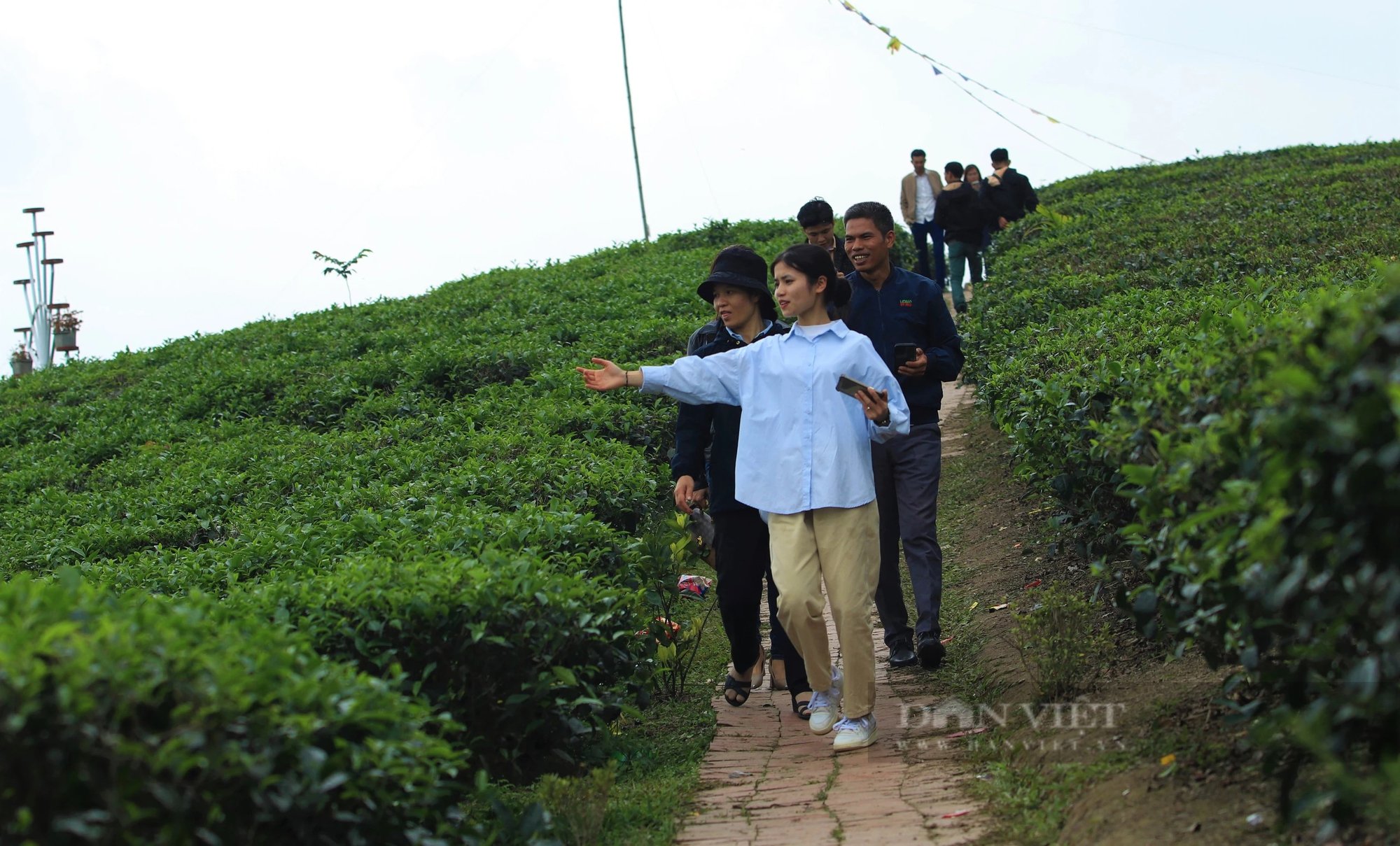 Một nơi ở Nghệ An có đảo, có đồi, có hồ nước đẹp long lanh, dân tình đang kéo lên chụp ảnh, quay phim- Ảnh 7.