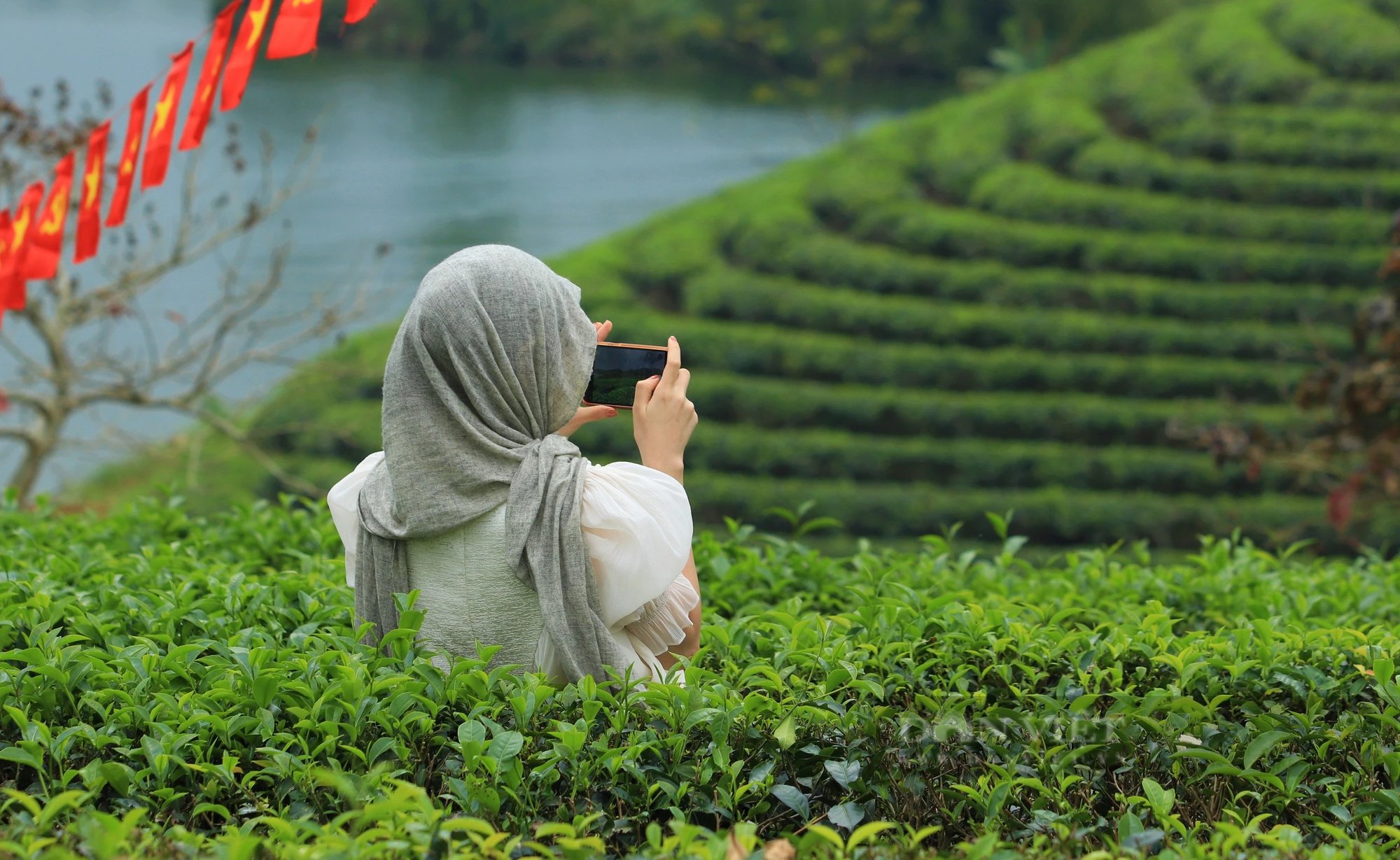 Một nơi ở Nghệ An có đảo, có đồi, có hồ nước đẹp long lanh, dân tình đang kéo lên chụp ảnh, quay phim- Ảnh 10.