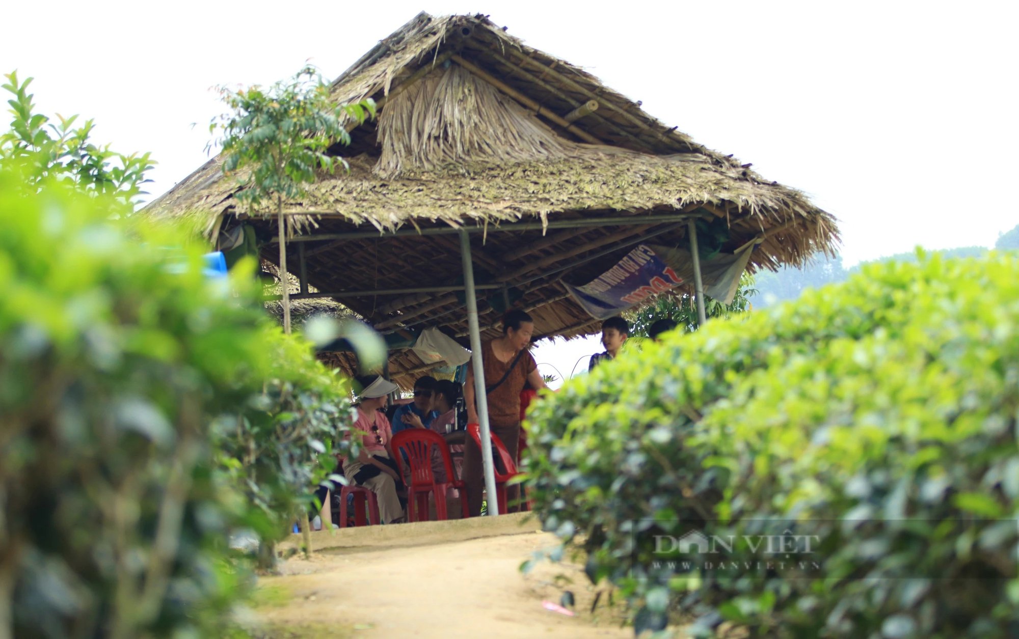 Một nơi ở Nghệ An có đảo, có đồi, có hồ nước đẹp long lanh, dân tình đang kéo lên chụp ảnh, quay phim- Ảnh 11.