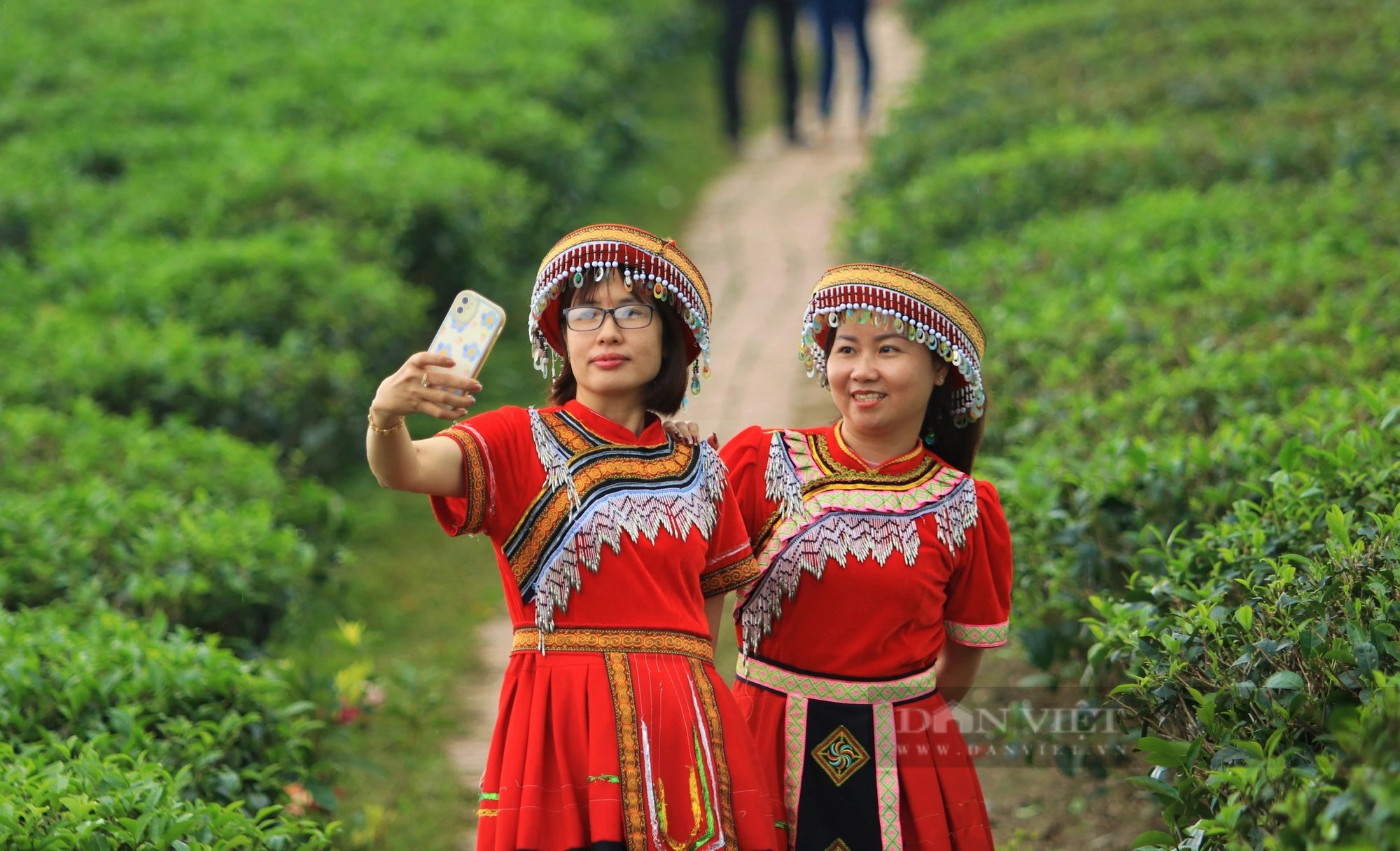 Một nơi ở Nghệ An có đảo, có đồi, có hồ nước đẹp long lanh, dân tình đang kéo lên chụp ảnh, quay phim- Ảnh 12.