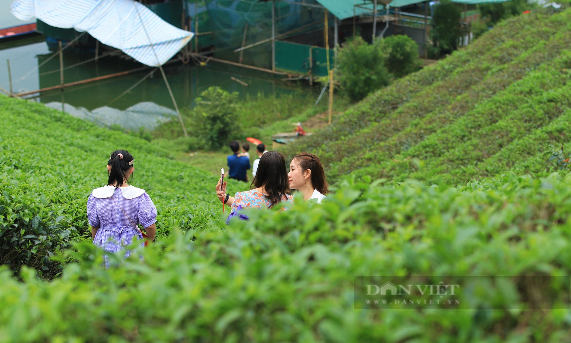 Một nơi ở Nghệ An có đảo, có đồi, có hồ nước đẹp long lanh, dân tình đang kéo lên chụp ảnh, quay phim- Ảnh 13.