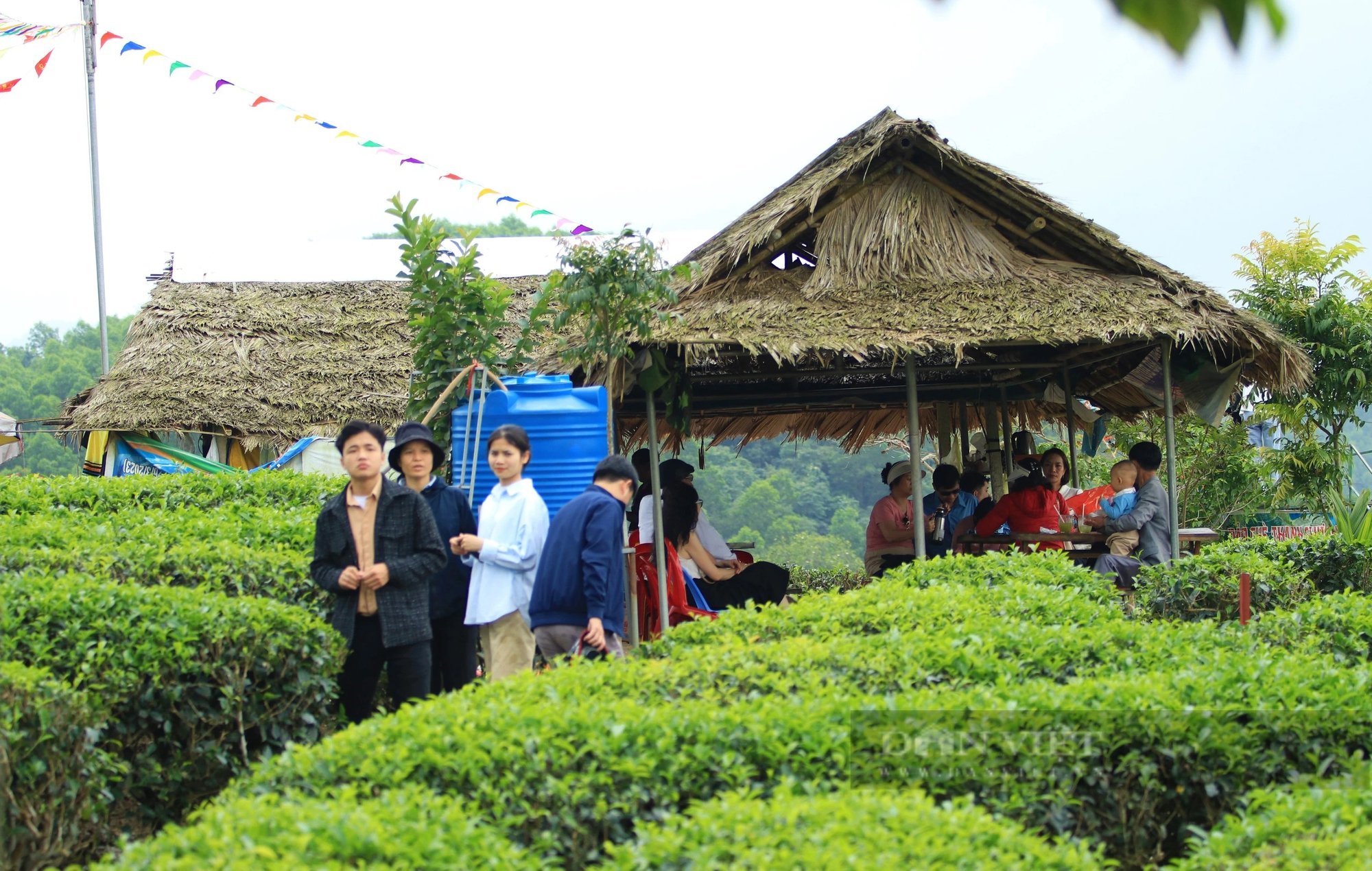Một nơi ở Nghệ An có đảo, có đồi, có hồ nước đẹp long lanh, dân tình đang kéo lên chụp ảnh, quay phim- Ảnh 14.
