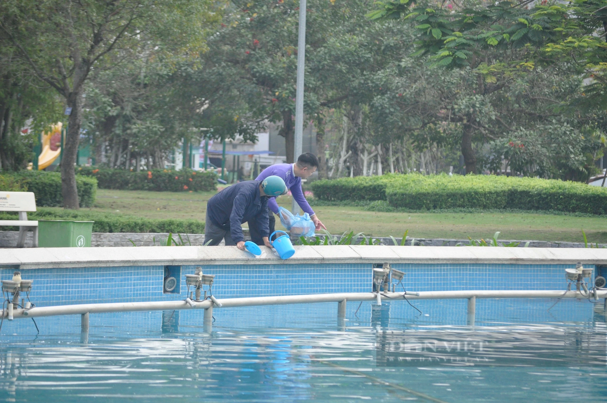 Phóng sinh cá chép tiễn ông Công ông Táo xuống hồ nước lợ bị chết hàng loạt- Ảnh 11.