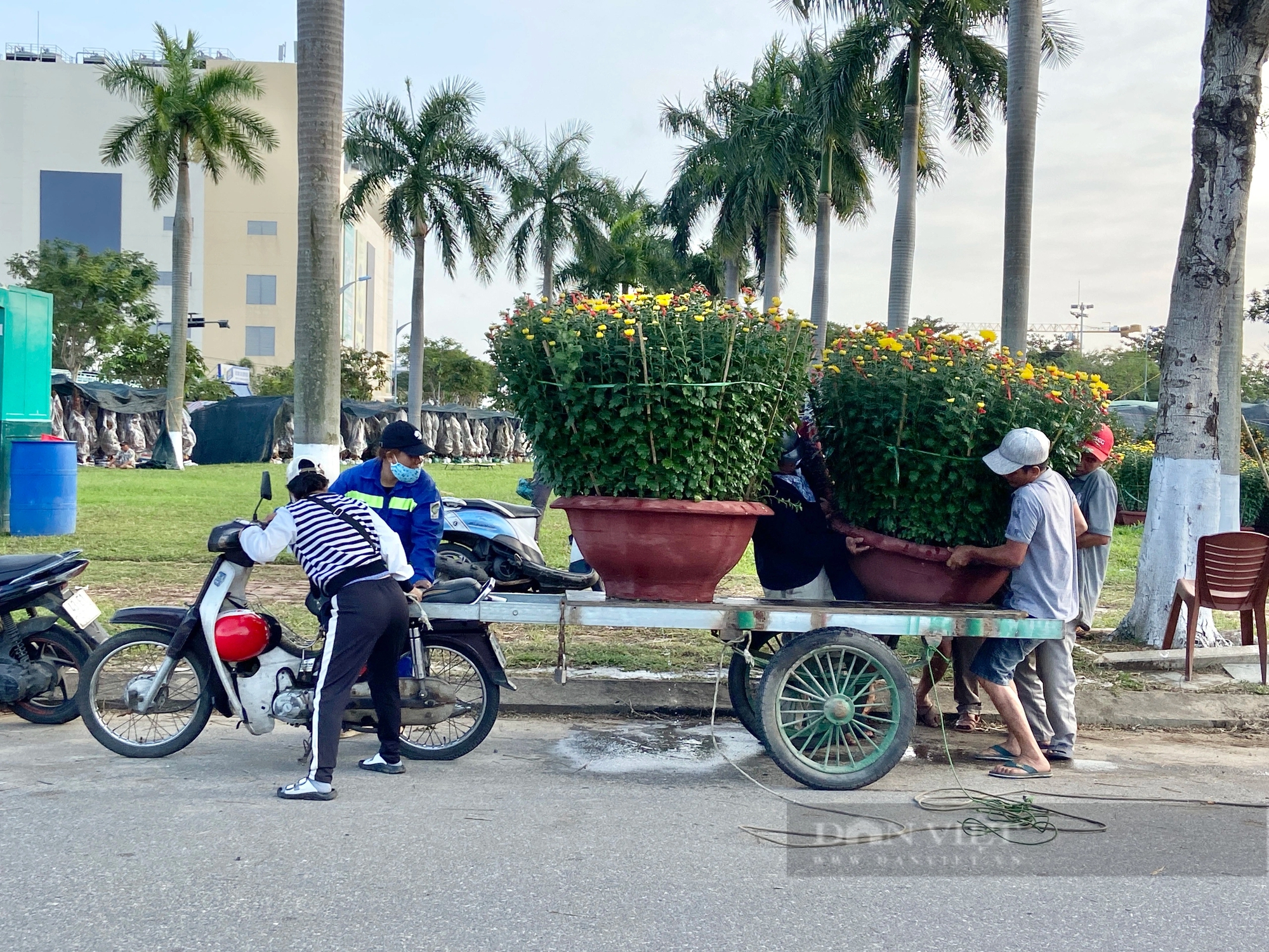 “Ăn theo” mùa Tết, lao động tự do ở Đà Nẵng làm gì mà chả hết việc, cầm xấp tiền dày hơn ngày thường?- Ảnh 9.