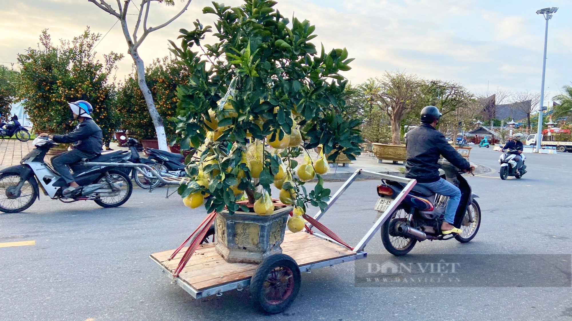 “Ăn theo” mùa Tết, lao động tự do ở Đà Nẵng làm gì mà chả hết việc, cầm xấp tiền dày hơn ngày thường?- Ảnh 10.