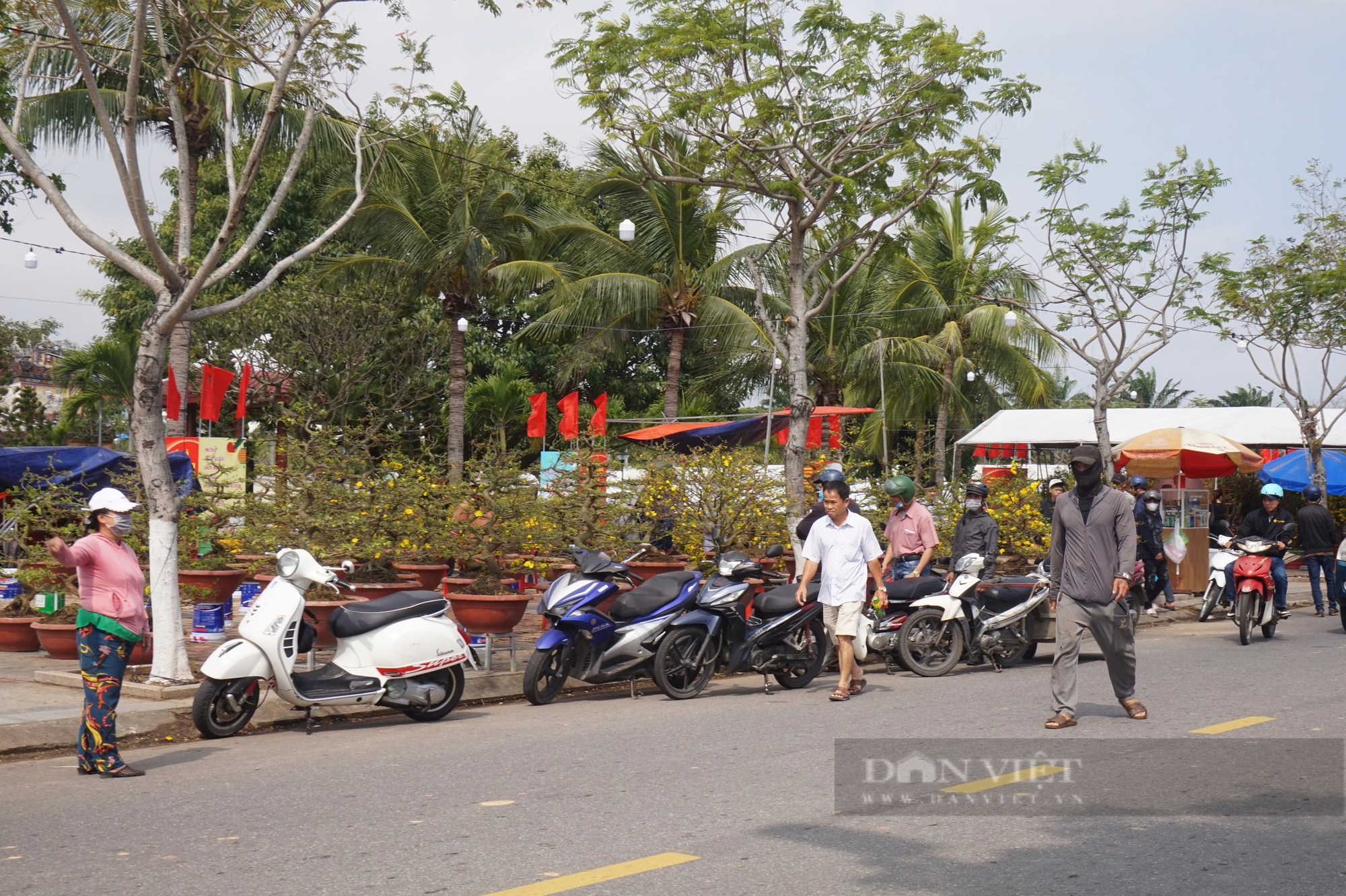 La liệt chậu mai vàng "khủng", quất tết ở chợ hoa Xuân Đà Nẵng, tiểu thương vẫn chờ đợi điều gì?- Ảnh 4.
