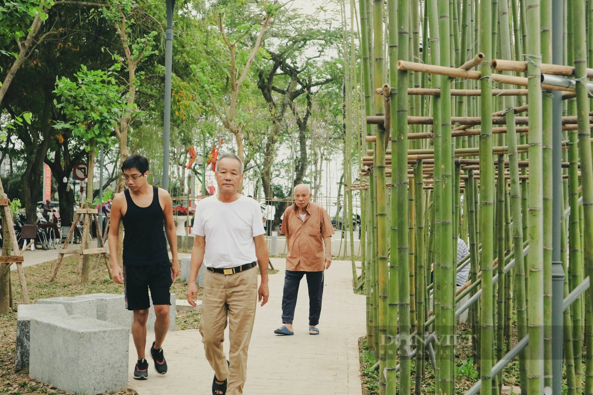 "Rừng trúc” xuất hiện ven hồ Trúc Bạch hút mắt người đi đường- Ảnh 8.