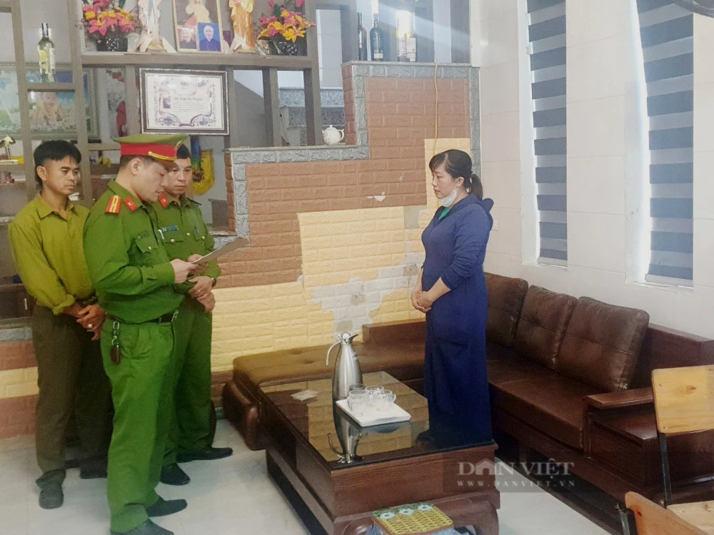 Giả danh nhân viên ngân hàng lừa đảo chiếm đoạt hơn 4,5 tỷ đồng- Ảnh 1.