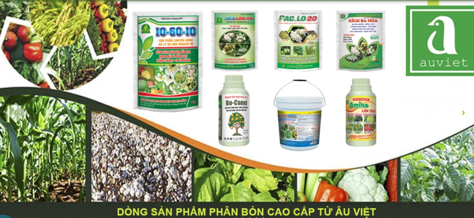 Được cấp mã chứng khoán AVG, Phân bón Quốc tế Âu Việt có gì?- Ảnh 1. Được cấp mã chứng khoán AVG, Phân bón Quốc tế Âu Việt có gì?- Ảnh 1.