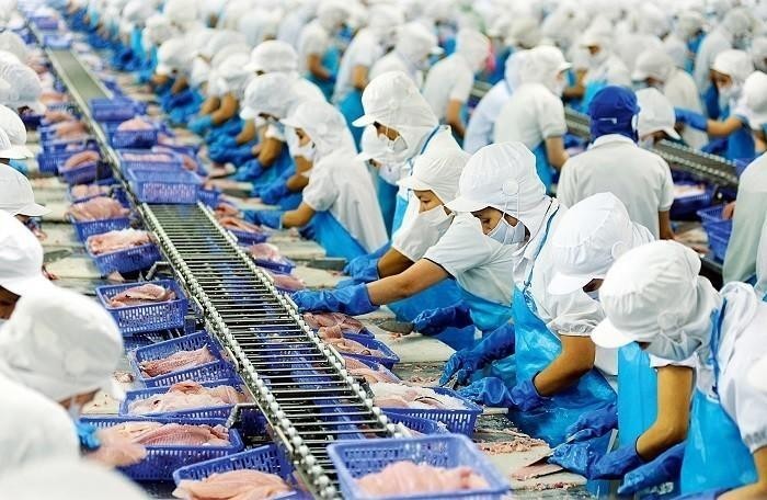 Vĩnh Hoàn: Xuất khẩu thuỷ sản sang Trung Quốc và Mỹ tăng vọt trong tháng đầu năm- Ảnh 1. Vĩnh Hoàn: Xuất khẩu thuỷ sản sang Trung Quốc và Mỹ tăng vọt trong tháng đầu năm- Ảnh 1.
