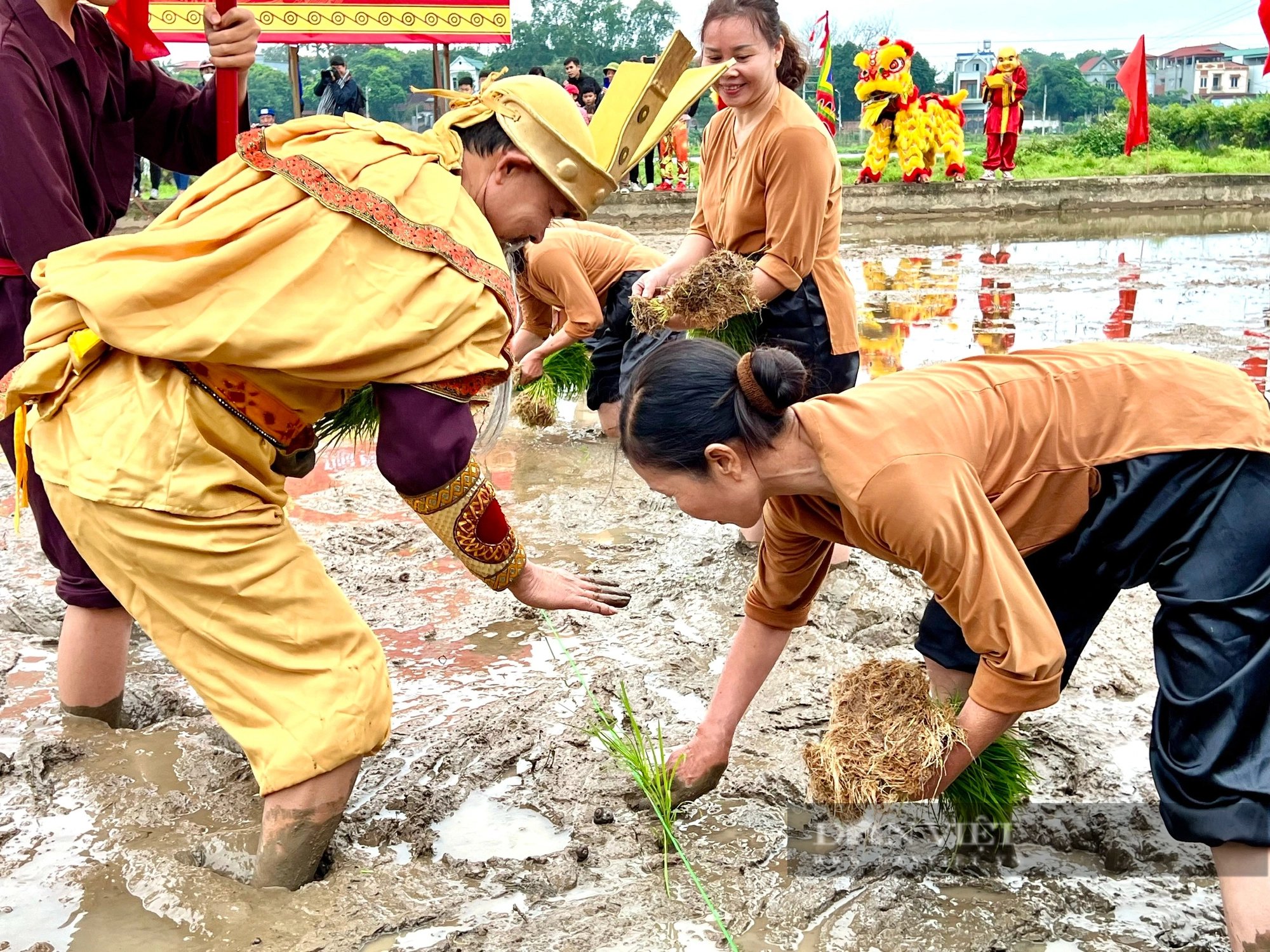 "Vua Hùng đi cấy" ở thành phố ngã ba sông Việt Trì- Ảnh 11.