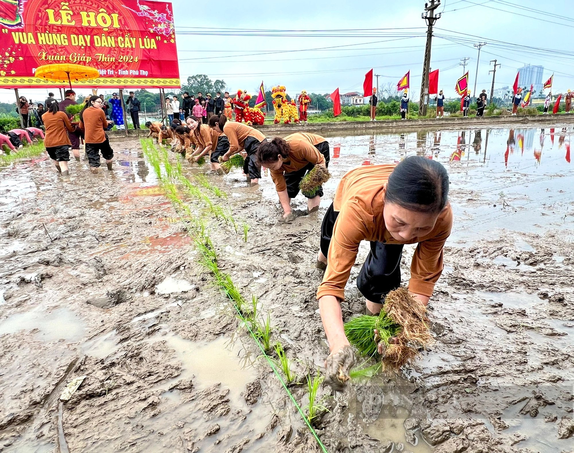 "Vua Hùng đi cấy" ở thành phố ngã ba sông Việt Trì- Ảnh 14.