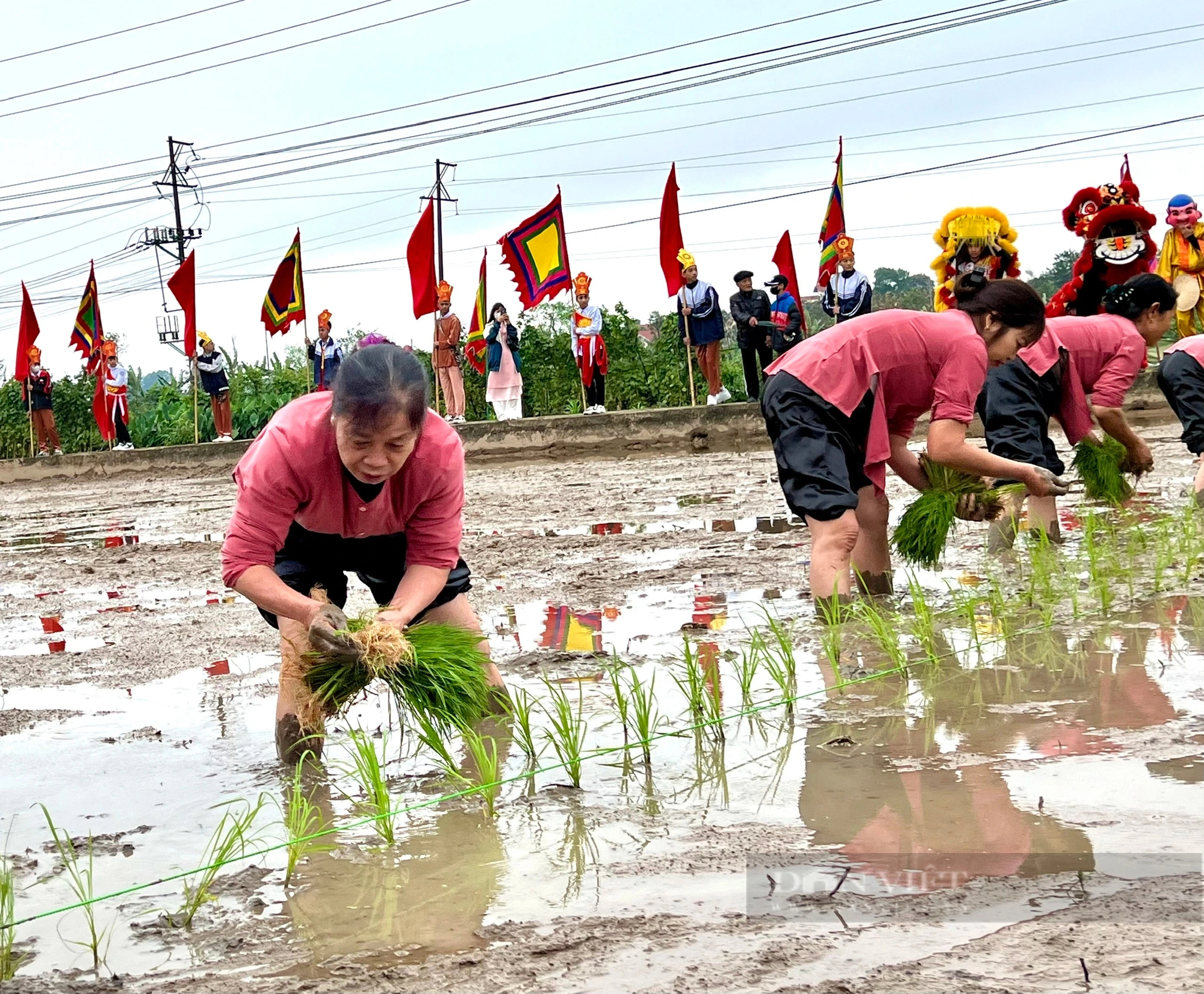 "Vua Hùng đi cấy" ở thành phố ngã ba sông Việt Trì- Ảnh 15.