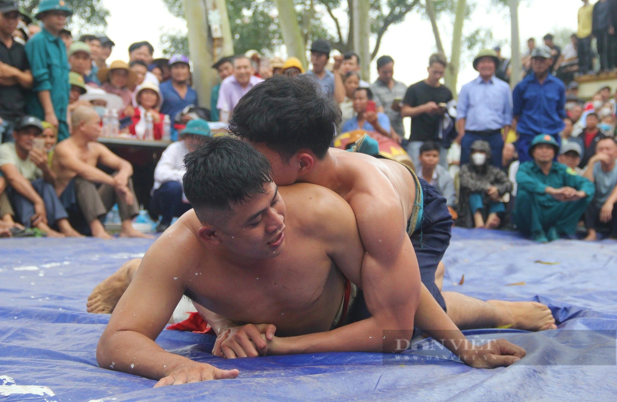 Ảnh ấn tượng tuần: "Vua Hùng đi cấy" và hình ảnh hoa mai anh đào nở rộ ở Đà Lạt- Ảnh 9.