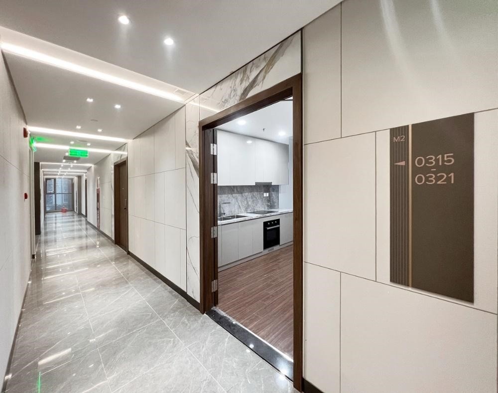 Masterise Homes bàn giao những căn hộ đầu tiên phân khu Miami - Masteri Waterfront tại Hà Nội- Ảnh 3.