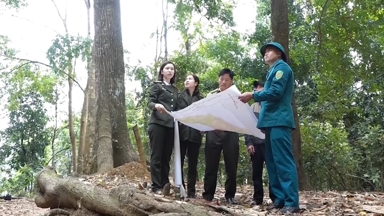 Huyện vùng cao Yên Châu chủ động triển khai các phương án PCCCR- Ảnh 3.