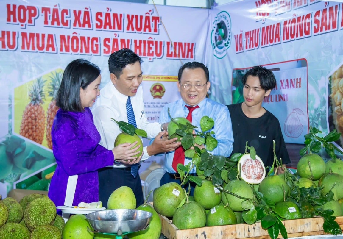 9X Khánh Hòa đã xinh lại còn giỏi bán bưởi da xanh, cả làng khen- Ảnh 3.