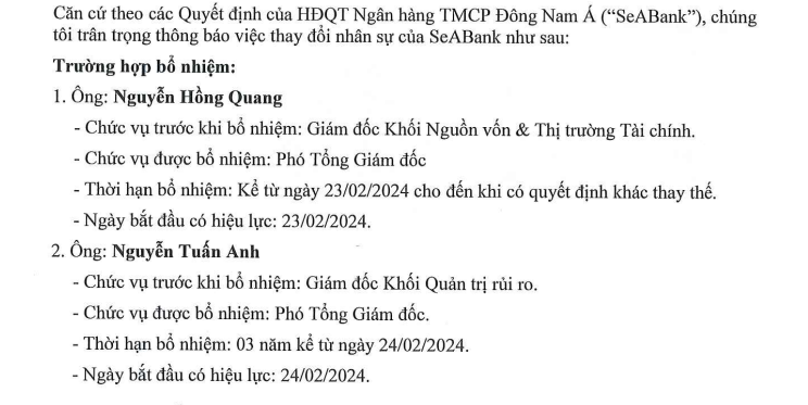 SeABank (SSB) đồng loạt miễn nhiệm 4 Phó Tổng giám đốc, bổ nhiệm 2 người thay thế- Ảnh 1.