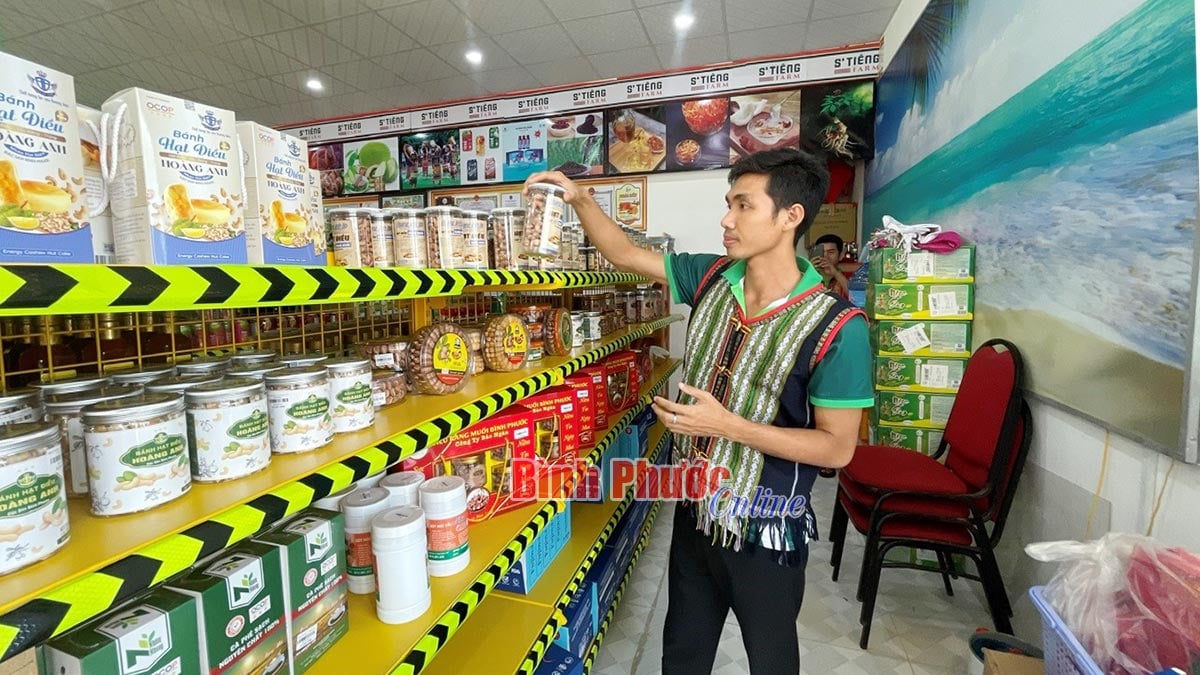Một HTX trồng sầu riêng ở Bình Phước, cây nào cũng gắn mã QR, quét điện thoại là 'lộ' mọi thông số- Ảnh 3.