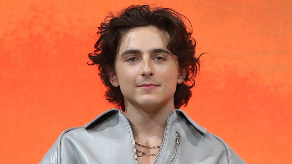 Timothée Chalamet không ngại đóng phim siêu anh hùng- Ảnh 1.