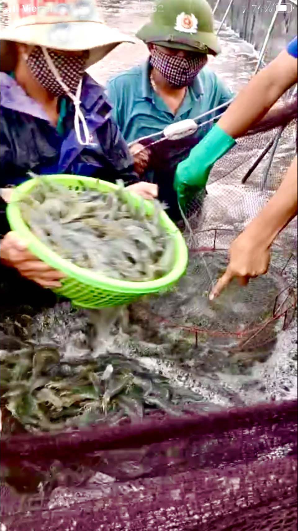 Nuôi tôm công nghệ cao kiểu gì mà xúc lên hàng tấn, anh nông dân 8X Nghệ An lời tiền tỷ?- Ảnh 2.