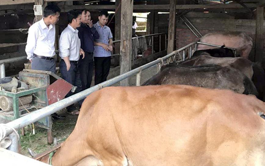 Một xã ở Yên Bái từng trồng cây thuốc phiện thay lương thực, giờ "lột xác" khó nhận ra- Ảnh 3.