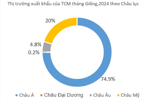 Dệt may Thành Công (TCM) báo lãi tháng 1 cao nhất 9 tháng- Ảnh 2.