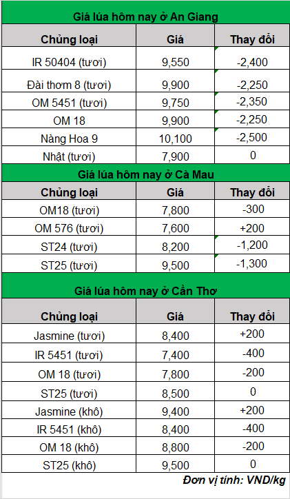 Giá lúa hôm nay giảm, giá gạo tăng, dự báo xu hướng mới nhất - Ảnh 1. Giá lúa hôm nay giảm, giá gạo tăng, dự báo xu hướng mới nhất - Ảnh 1.
