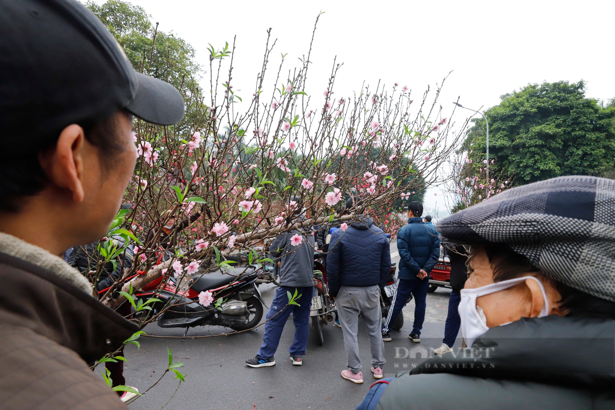 Đào Nhật Tân thế như thác đổ giá bạc triệu hút khách Thủ đô chơi Tết Nguyên đán 2024- Ảnh 8.