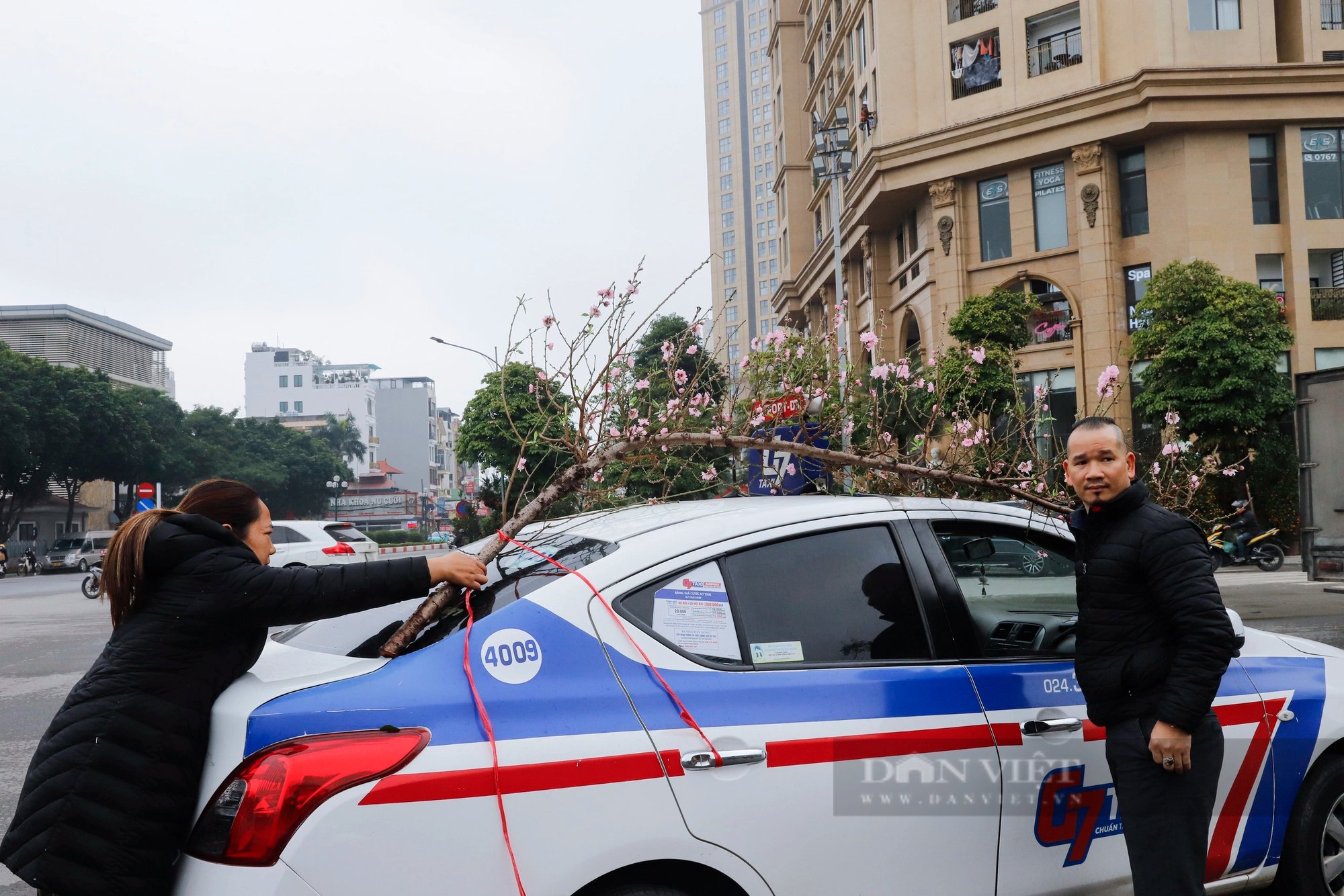 Đào Nhật Tân thế như thác đổ giá bạc triệu hút khách Thủ đô chơi Tết Nguyên đán 2024- Ảnh 9.