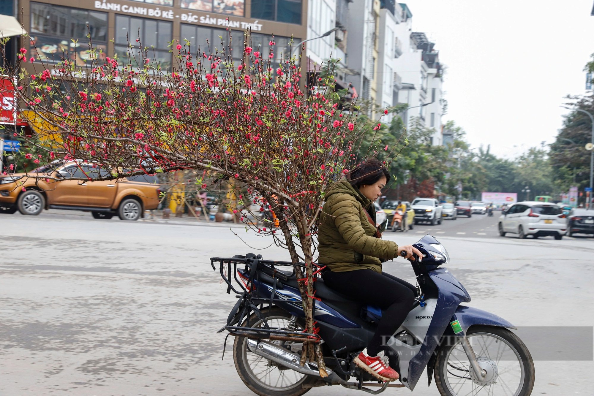 Đào Nhật Tân thế như thác đổ giá bạc triệu hút khách Thủ đô chơi Tết Nguyên đán 2024- Ảnh 10.