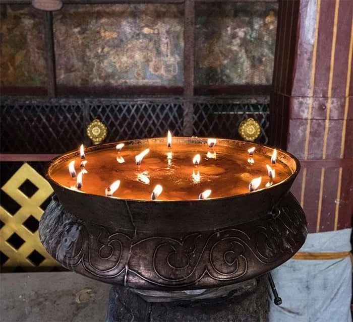 Được coi là "báu vật" của Tây Tạng, con vật này có thể chịu lạnh tới âm 40 độ C, nặng tới 1.000 kg- Ảnh 12.