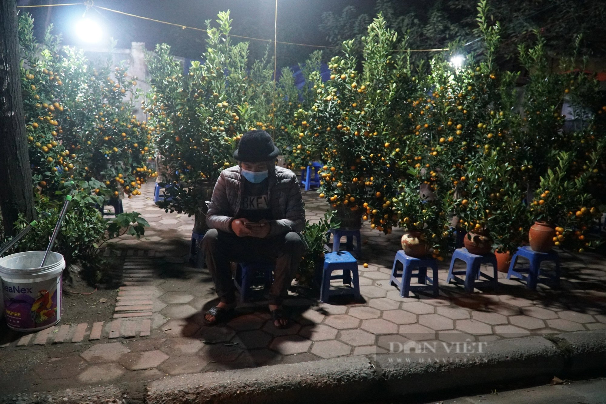 Thời điểm cuối năm ít việc ở công ty nên anh Cơ chuyển sang buôn quất kiếm thêm thu nhập. Ảnh: Trung Hiếu